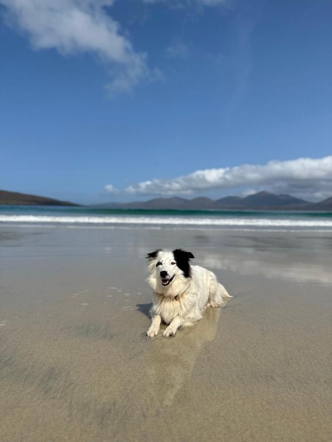 Kinnoull House Near Stornoway Hot-Tub Sauna Pet Friendly Garrabost エクステリア 写真
